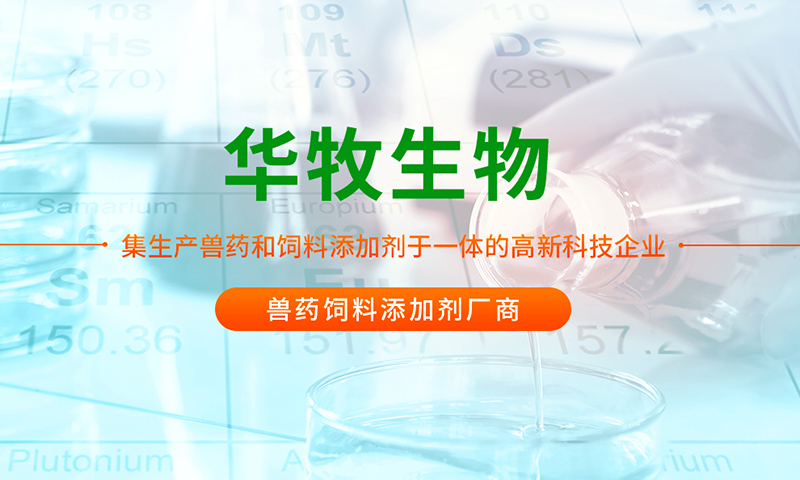 壹号娱乐·(中国游)官方网站 - app下载