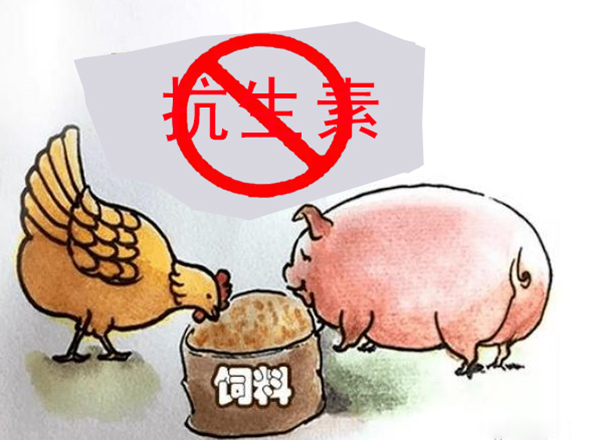 1619690682174347.jpg 不容抗.jpg