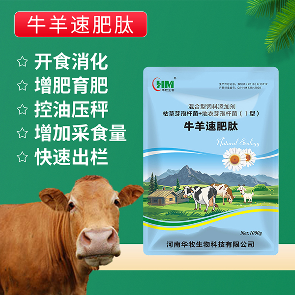 1625728454431995.jpg 主图.jpg