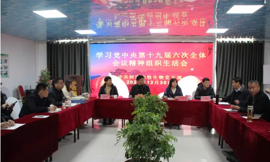 壹号娱乐开hi.png